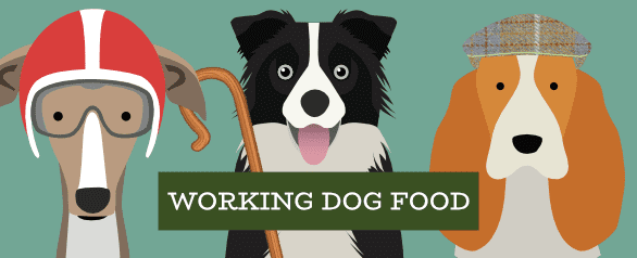 Working Dog Food